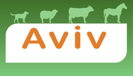 AVIV trademark