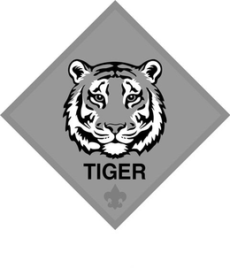 TIGER trademark