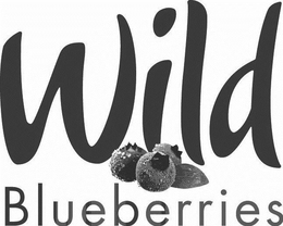 WILD BLUEBERRIES trademark