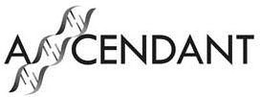ASCENDANT trademark