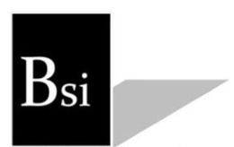BSI trademark