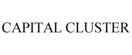 CAPITAL CLUSTER trademark