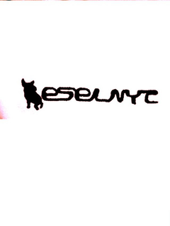 ESELNYC trademark