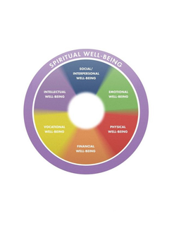 SPIRITUAL WELL-BEING SOCIAL/INTERPERSONAL WELL-BEING INTELLECTUAL WELL-BEING EMOTIONAL WELL-BEING VOCATIONAL WELL-BEING PHYSICAL WELL-BEING FINANCIAL WELL-BEING trademark