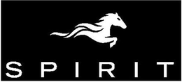 SPIRIT trademark
