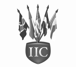 IIC trademark