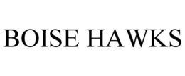 BOISE HAWKS trademark