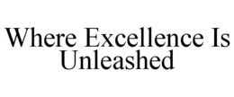 WHERE EXCELLENCE IS UNLEASHED trademark