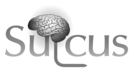 SULCUS trademark