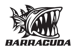 BARRACUDA trademark