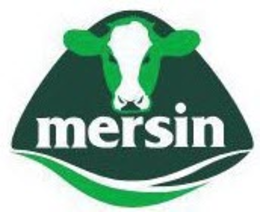 MERSIN trademark