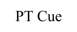 PT CUE trademark