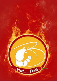 HOT FEEL trademark