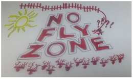 NO FLY ZONE trademark