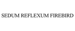 SEDUM REFLEXUM FIREBIRD trademark