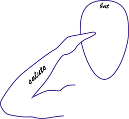 SALUTE BNT trademark