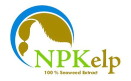 NPKELP 100% SEAWEED EXTRACT trademark