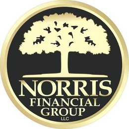 NORRIS FINANCIAL GROUP, LLC trademark