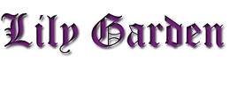LILY GARDEN trademark