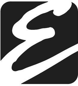 E trademark