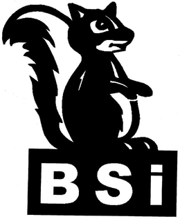BSI trademark