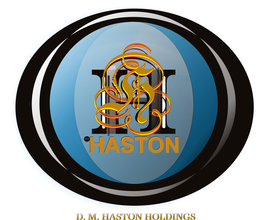 H HASTON D M HASTON HOLDINGS trademark
