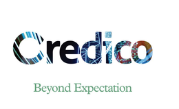 CREDICO BEYOND EXPECTATION trademark