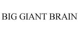 BIG GIANT BRAIN trademark