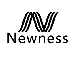 N NEWNESS trademark