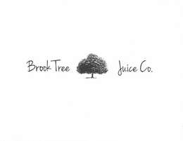 BROOK TREE JUICE CO. trademark