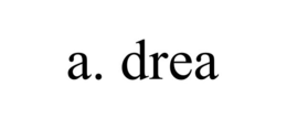 A. DREA trademark