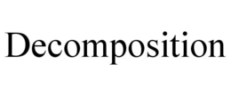 DECOMPOSITION trademark