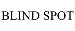 BLIND SPOT trademark