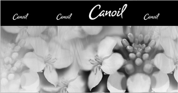 CANOIL trademark