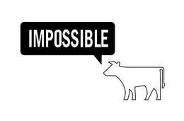 IMPOSSIBLE trademark