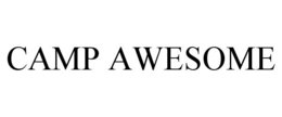 CAMP AWESOME trademark