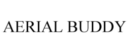 AERIAL BUDDY trademark