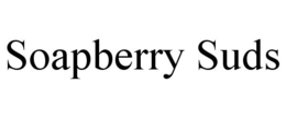 SOAPBERRY SUDS trademark