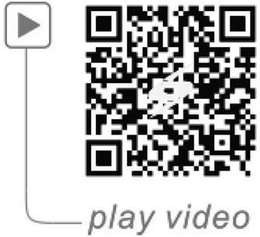 PLAY VIDEO trademark