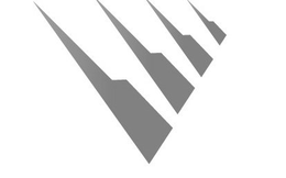 V trademark