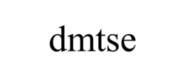 DMTSE trademark