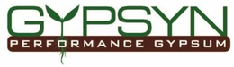 GYPSYN PERFORMANCE GYPSUM trademark