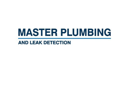 MASTER PLUMBING AND LEAK DETECTION trademark