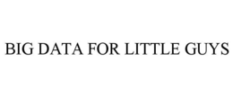 BIG DATA FOR LITTLE GUYS trademark