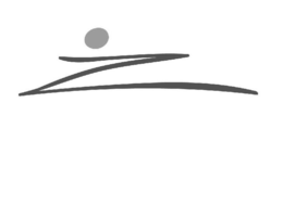 Z trademark