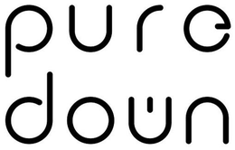 PURE DOWN trademark