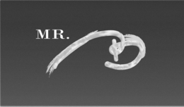 MR. B trademark