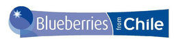 BLUEBERRIES FROM CHILE trademark