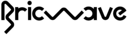 BRICWAVE trademark