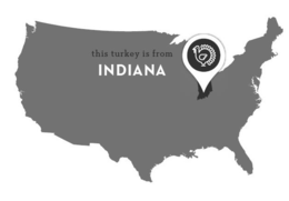 THIS TURKEY IS FROM INDIANA trademark
